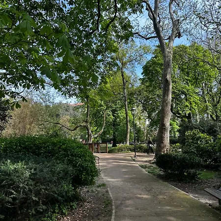 Ambra Park - Giulia 19 Apartment